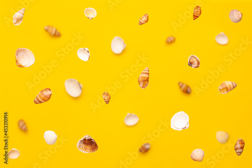 Levitation from above of sea shells of white and brown colors pattern on vibrant yellow background. Holidays travel and vacation concept with copy space