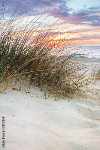 Fototapeta Naklejka Na Ścianę i Meble -  Beach grass on dune, Baltic sea at sunset