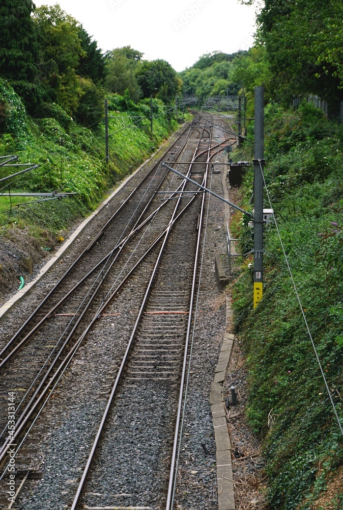 Train tracks leading into the distance with dense green foliage and trees on either side Train tracks leading into the distance with dense green foliage and trees on either side