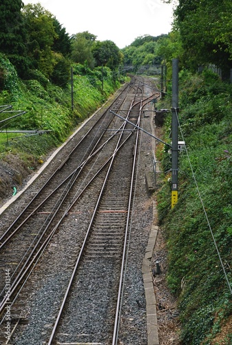 Train tracks leading into the distance with dense green foliage and trees on either side