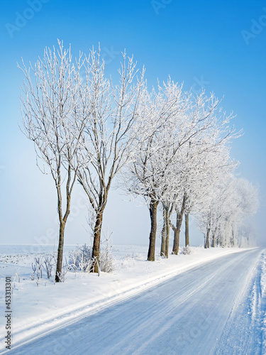 Straße durch verschneite Felder mit schneebedeckten Bäumen in Norddeutschland © kama71