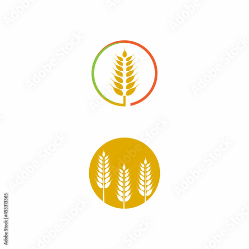 Agriculture wheat vector icon design