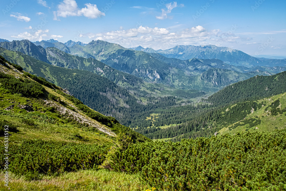 Maple valley from Wide saddle, High Tatras, Slovakia Maple valley from Wide saddle, High Tatras, Slovakia