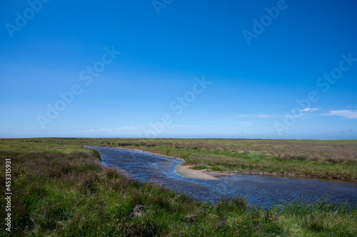 salt marshes at the north sea in germany near st peter ording and westerhever sand © MG-Pictures