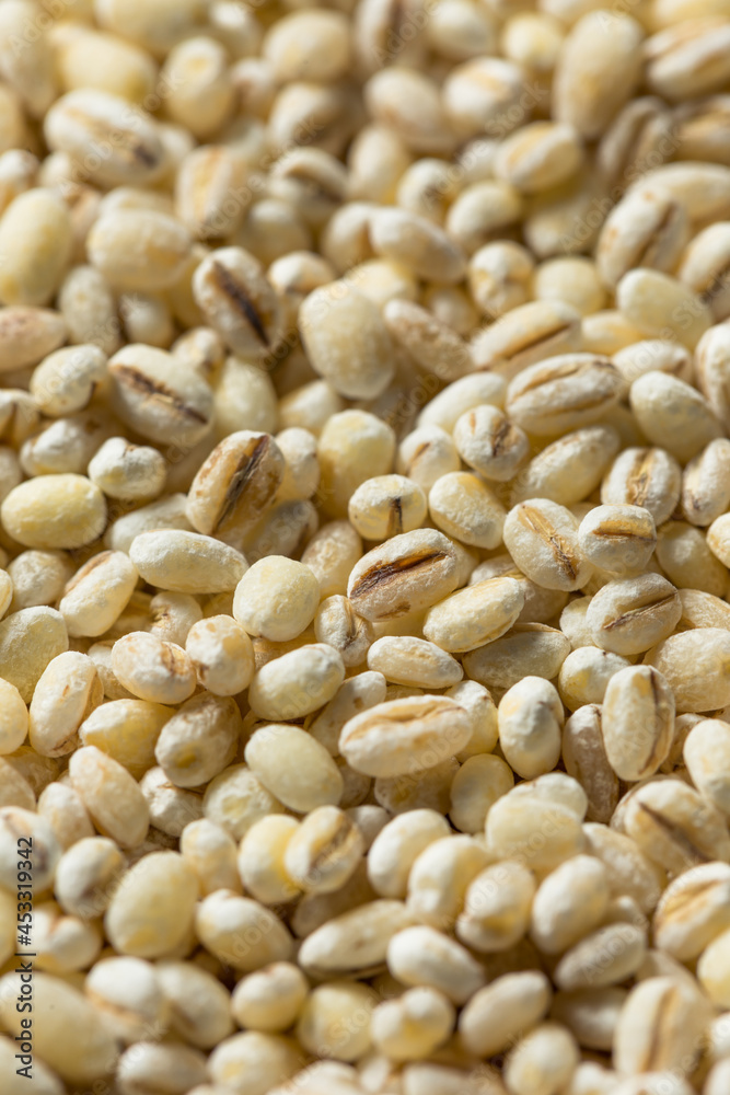 Raw Organic Dry Pearl Barley