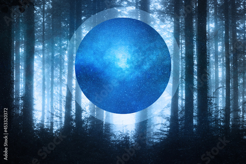 A science fiction concept. A forest of winter trees silhouetted in a forest. With a glowing portal of a galaxy.