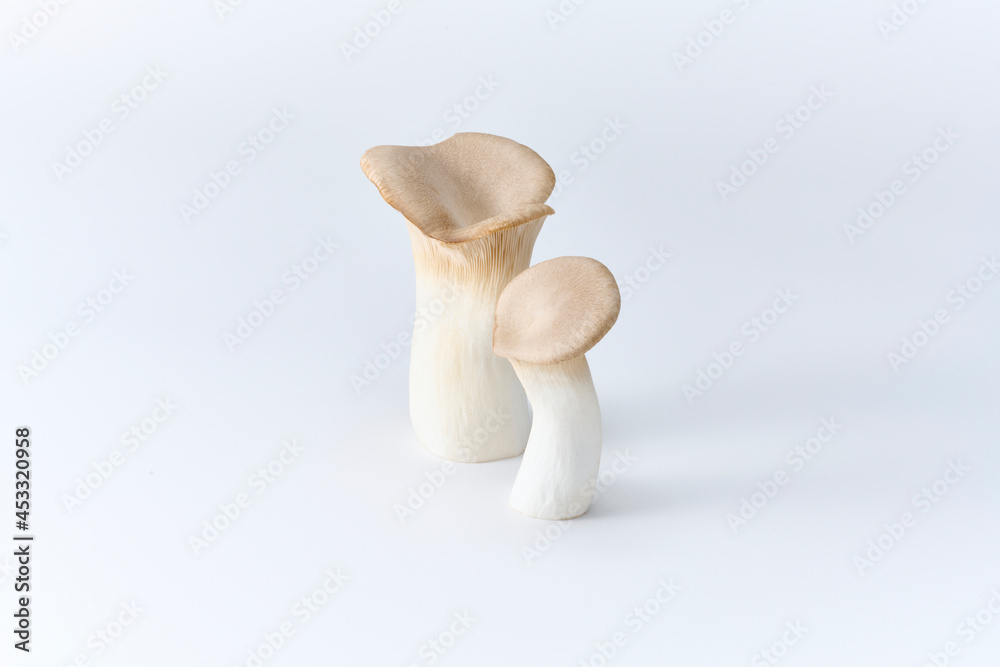 エリンギ, ,茸, 野菜, 食材, 白バック
