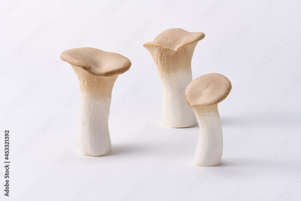 エリンギ, ,茸, 野菜, 食材, 白バック