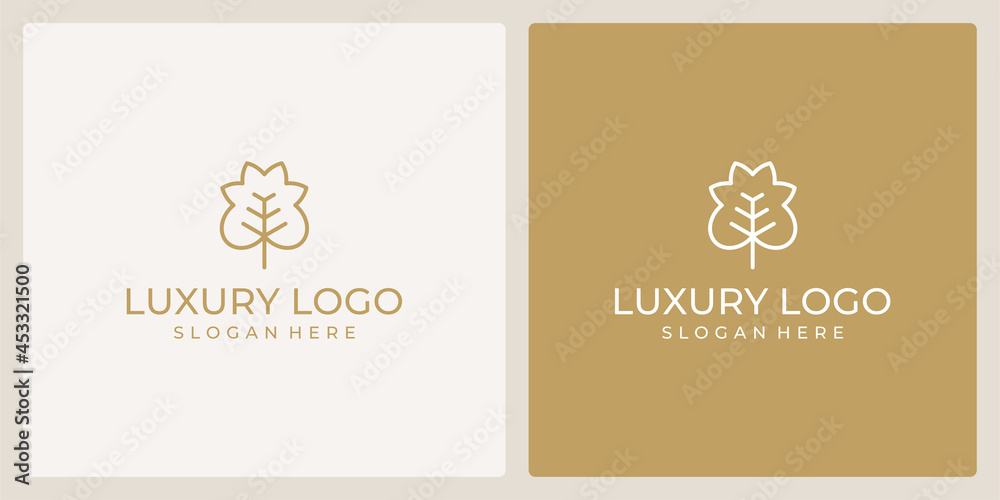 luxury flower beauty logo with abstract line model.
