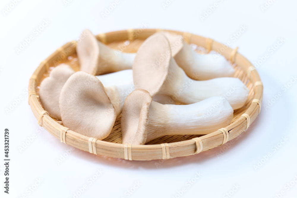 エリンギ, ,茸, 野菜, 食材, 白バック