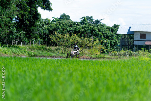 Thai farmer plows traditional rice field