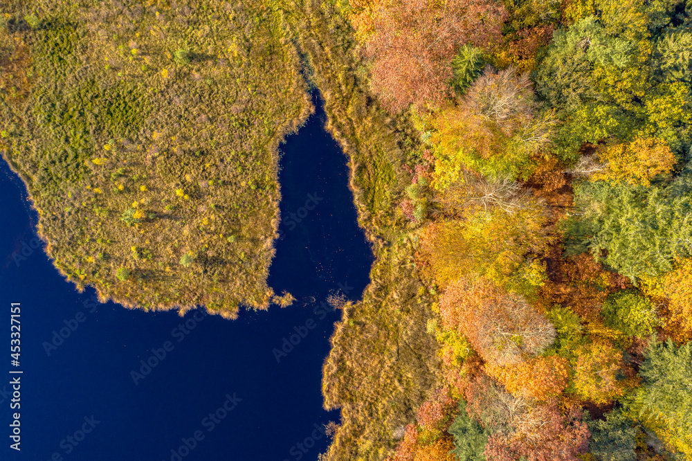 Aerial view of lake in autumnal forest