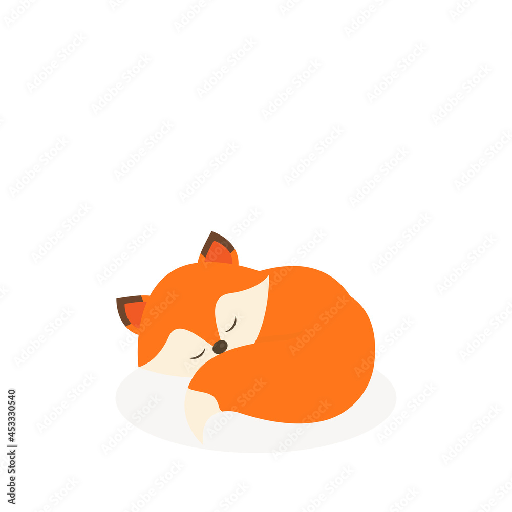 Obraz premium This is a cute fox on a white background.