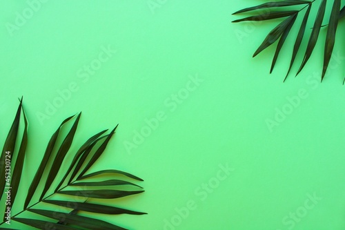 Green leaves frame on color background, palm leaves top view