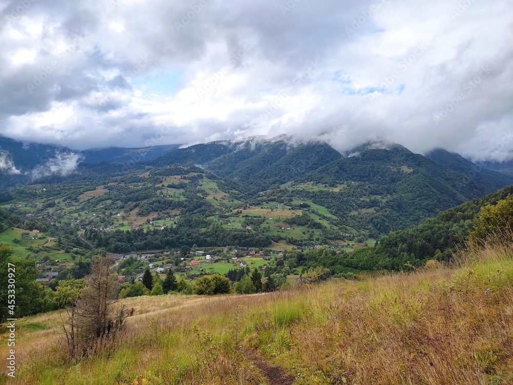 Beautiful landscape overlooking the Carpathian mountains in summer with green grass, trees and sky Beautiful landscape overlooking the Carpathian mountains in summer with green grass, trees and sky