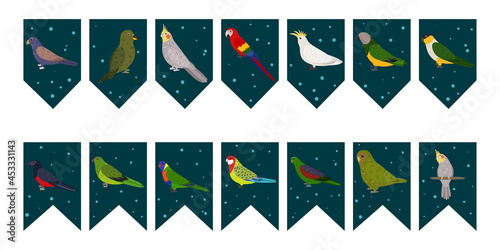 Flags garland for birthday party with tropical birds on colorful dark green background. Bunting wit kakapo cockatiel kea bronze wings parrots. Hand drawn kid illustration. Vector design set.