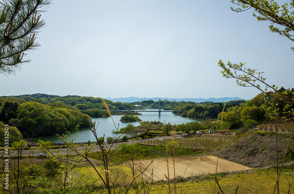 landscape with lake