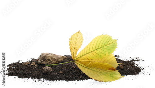 Dirt pile with autumn yellow leaves  isolated on white background and texture, side view