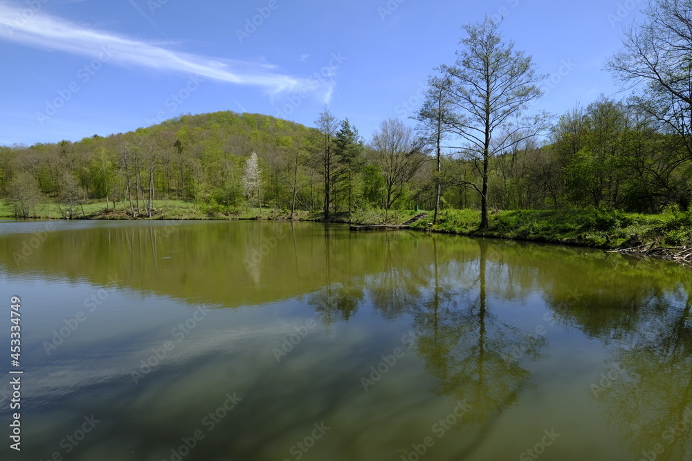 Landschaft am Seidenhäuser See bei Altershausen im Naturpark Hassberge, Landkreis Hassberge, Unterfranken, Franken, Bayern, Deutschland