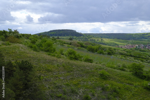 Landschaft im Naturschutzgebiet Grainberg-Kalbenstein bei Karlstadt, Landkreis Main-Spessart, Unterfranken, Bayern, Deutschland