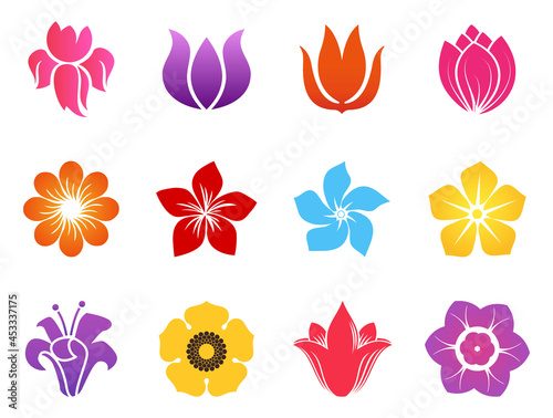 Abstract various flower vector element set