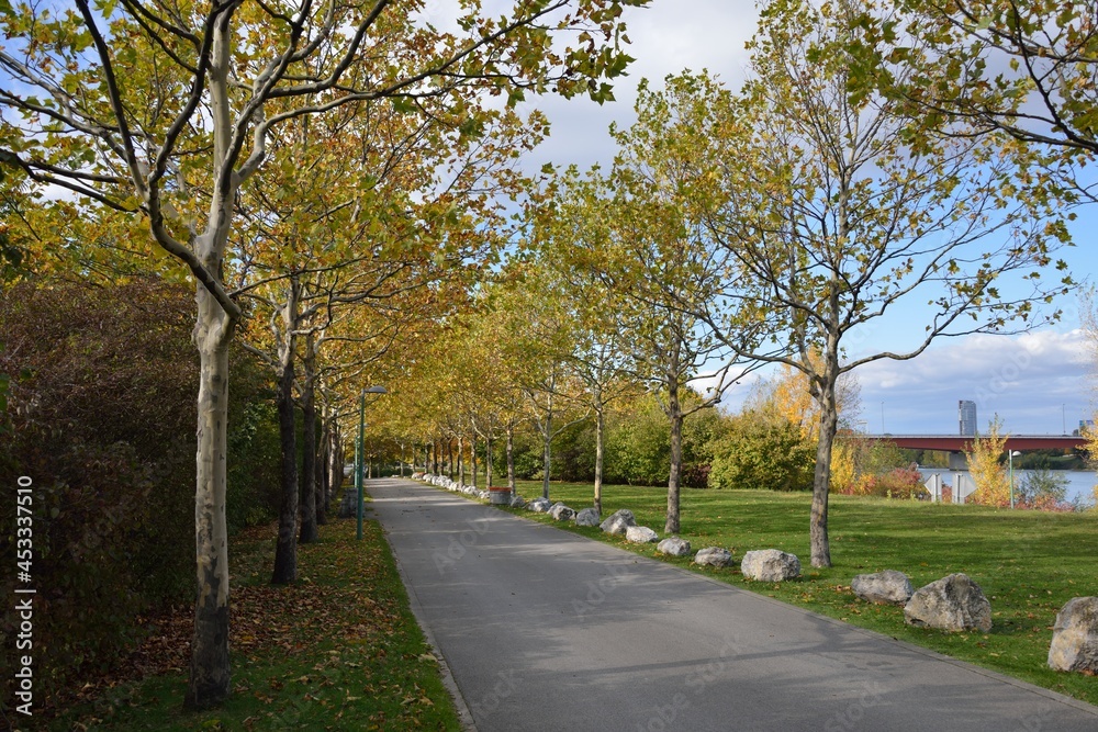 Weg an der Donau im Herbst Wien Österreich, 18.10.2013