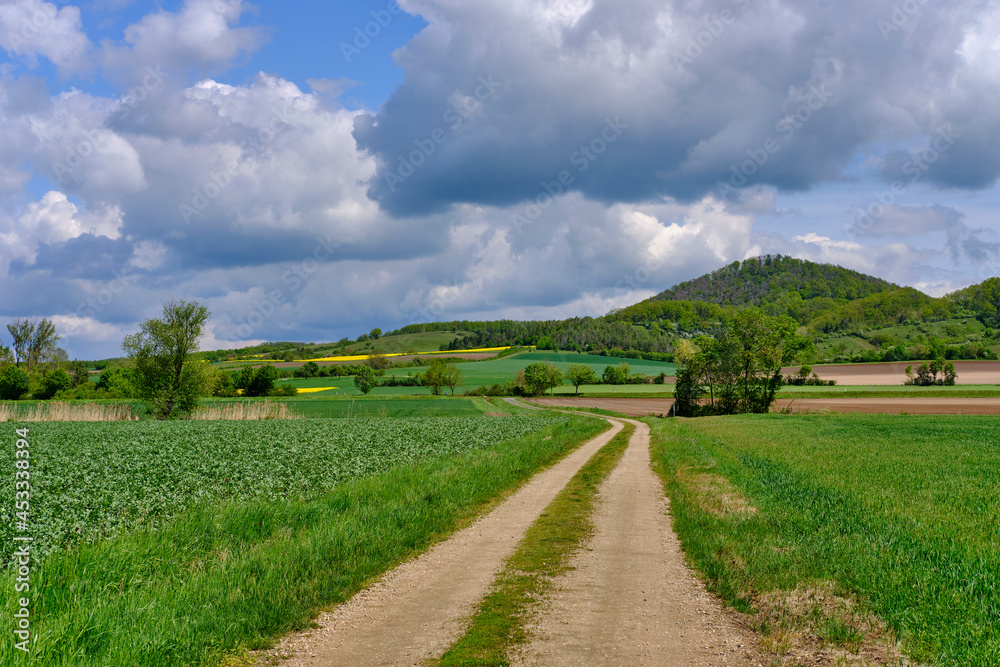 Blick vom Naturschutzgebiet Mainaue bei Augsfeld zum Naturschutzgebiet Hohe Wann, Stadt Haßfurt, Landkreis Hassberge, Unterfranken, Franken, Bayern, Deutschland