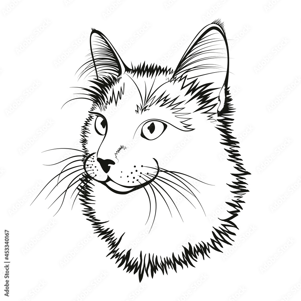 Obraz premium Vector illustration. Black outline of a cat on a white background.