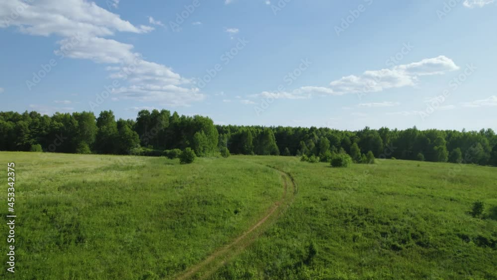 Summer landscape with dense green forest and fields. Aerial view scene with evergreen trees and a shining blue sky. Colorful and scenic natural scenery. Ecological area with fresh air for travel. Summer landscape with dense green forest and fields. Aerial view scene with evergreen trees and a shining blue sky. Colorful and scenic natural scenery. Ecological area with fresh air for travel.