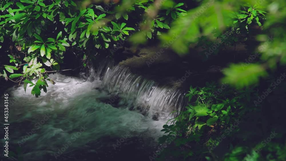 a small waterfall in the woods a small waterfall in the woods
