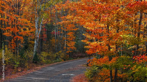 Colorful autumn trees by scenic rural road in Michigan upper peninsula