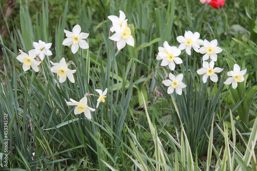 epoxy resin water, ocean, river, space