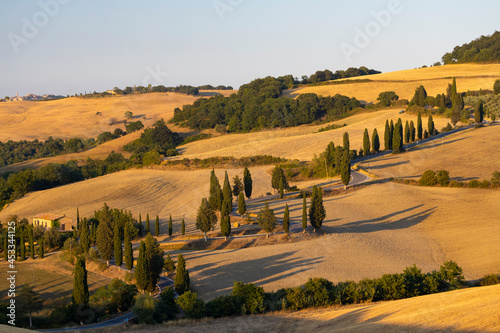 Cipressi di Monticchielo  Typical Tuscan landscape near Montepulciano  Italy