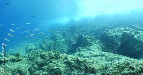 Wallpaper Mural choppy water wavy sea underwater wave hit on rocks and makes foam on the surface of the sea ocean scenery  Torontodigital.ca
