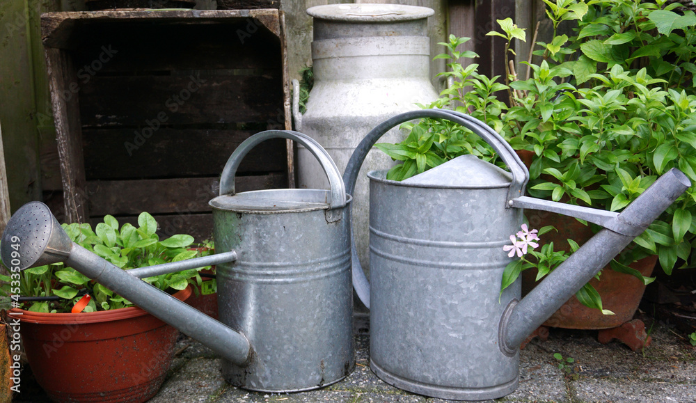 Old milk can or milk churn in the garden. in the Netherlands. cozy gardening picuture. oldfashion. with iron watering can and old wooden ladder. nice gardening concept with oldfashion gardening tools. Old milk can or milk churn in the garden. in the Netherlands. cozy gardening picuture. oldfashion. with iron watering can and old wooden ladder. nice gardening concept with oldfashion gardening tools.