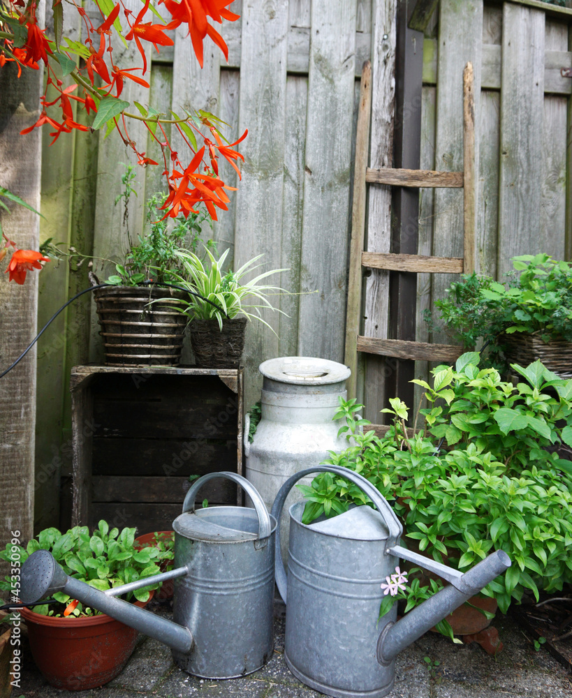 Old milk can or milk churn in the garden. in the Netherlands. cozy gardening picuture. oldfashion. with iron watering can and old wooden ladder. nice gardening concept with oldfashion gardening tools.