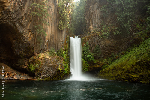 View of a cascading waterfall in Oregon. Toketee Falls is surrounded by green moss, trees, and basalt columns. The waterfall appears to be in a jungle. photo