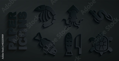 Set Fish with sliced pieces, Eel fish, Turtle, Octopus and Shrimp icon. Vector