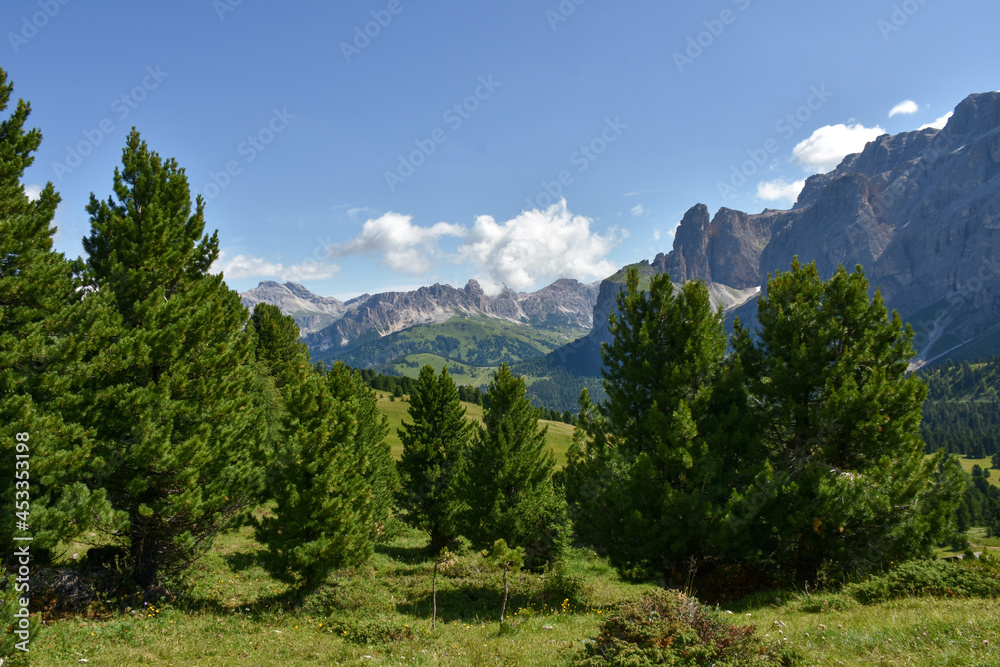 Naklejka premium montagne dolomiti