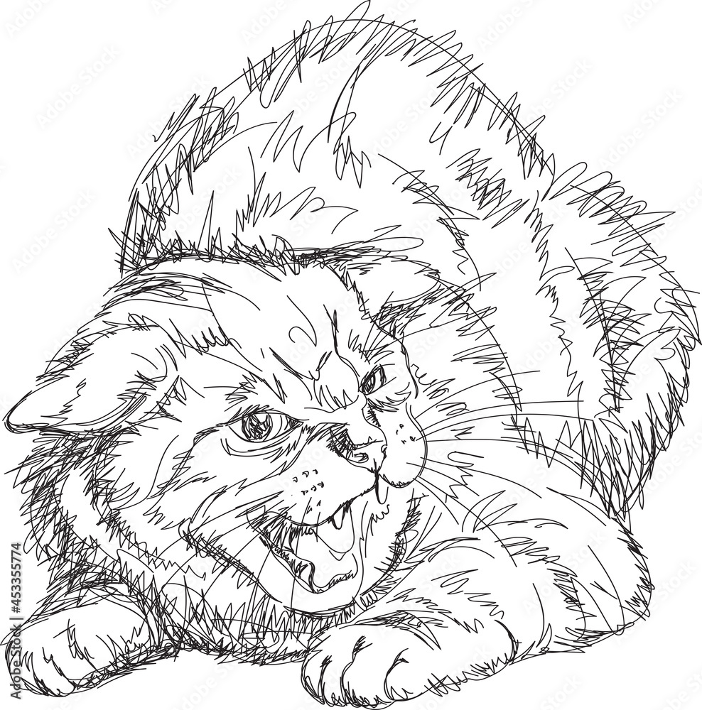 line drawing of a angry cat Stock Vector Image & Art - Alamy