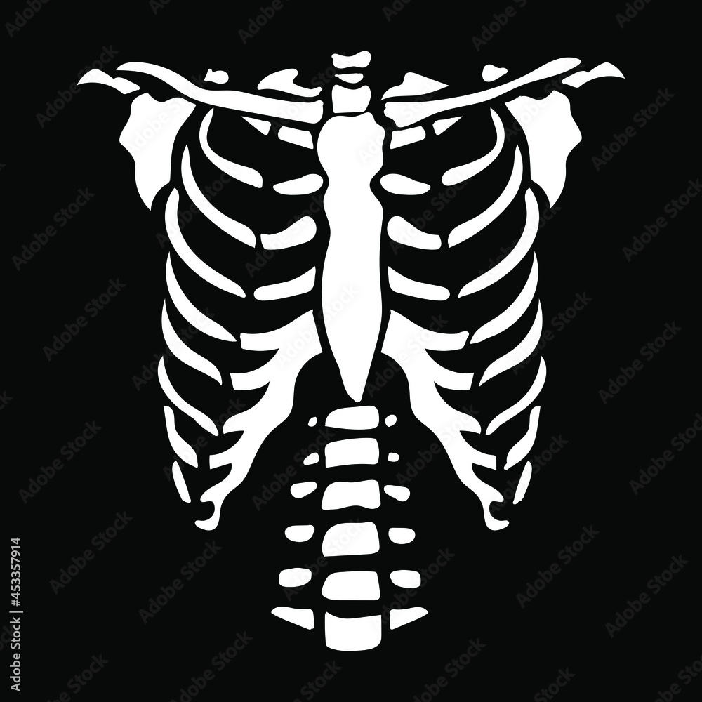 White Chest Bone. T-shirt Print For Horror Or Halloween. Hand Drawing  Illustration Isolated On Black Background. Royalty Free SVG, Cliparts,  Vectors, and Stock Illustration. Image 174540870.