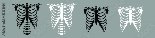 Set of Black and white chest bone. T-shirt print for Horror or Halloween. Hand drawing illustration isolated on background. Vector EPS 10. 