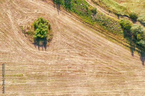 Trees in the field top aeri...