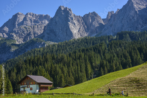 Casa rural en un paisaje con bosques y altas montañas en la región alpina del Friuli italiano © s-aznar