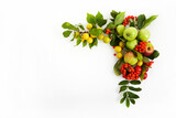 Framework with Autumn yellow, orange and red vegetables and fruits on white background, top view, flat lay. Autumn background.