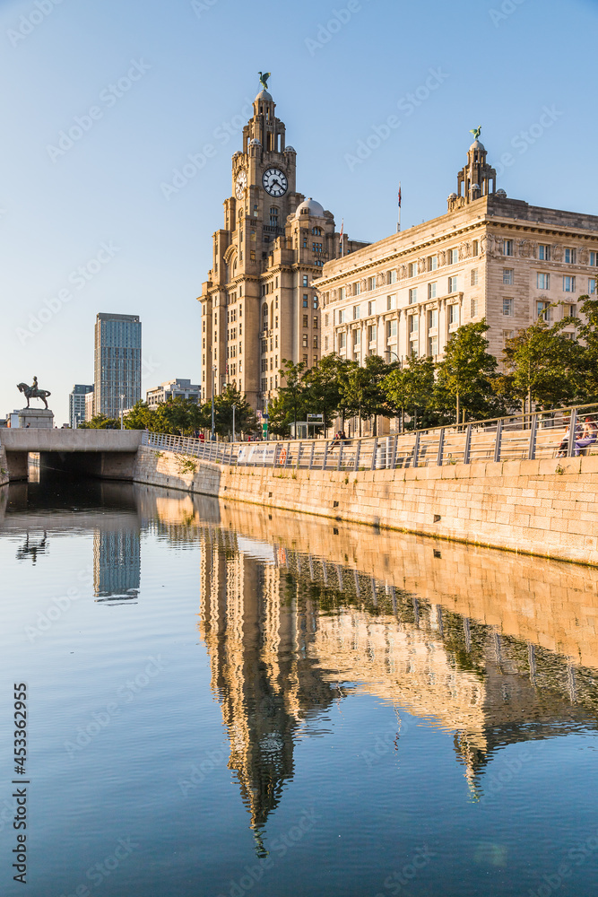 Reflections of the Liver Building