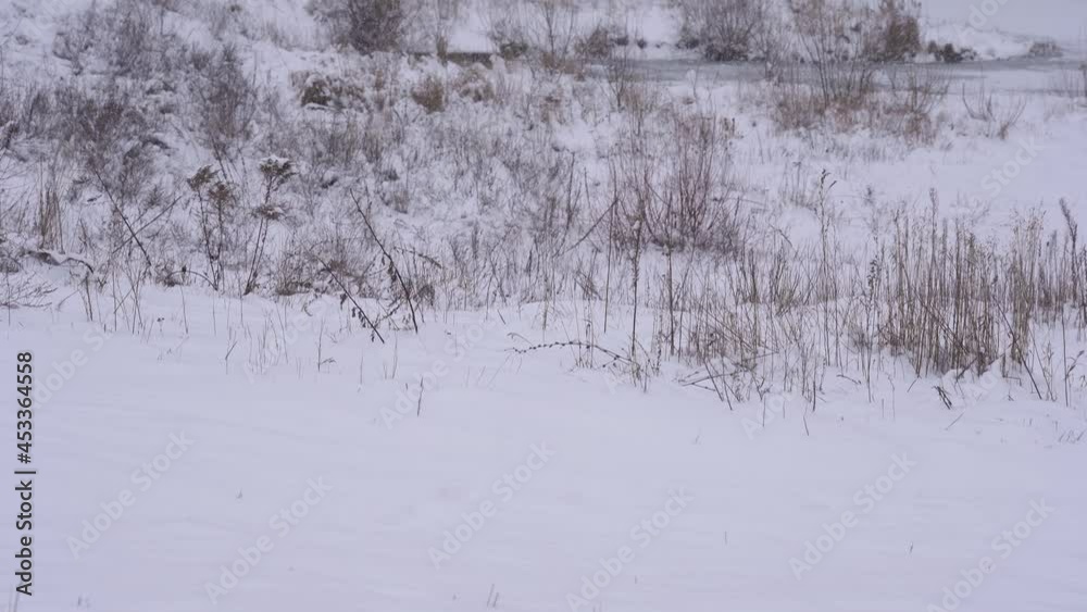 custom made wallpaper toronto digitalSnowy white winter countryside landscape