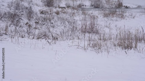 Wallpaper Mural Snowy white winter countryside landscape Torontodigital.ca