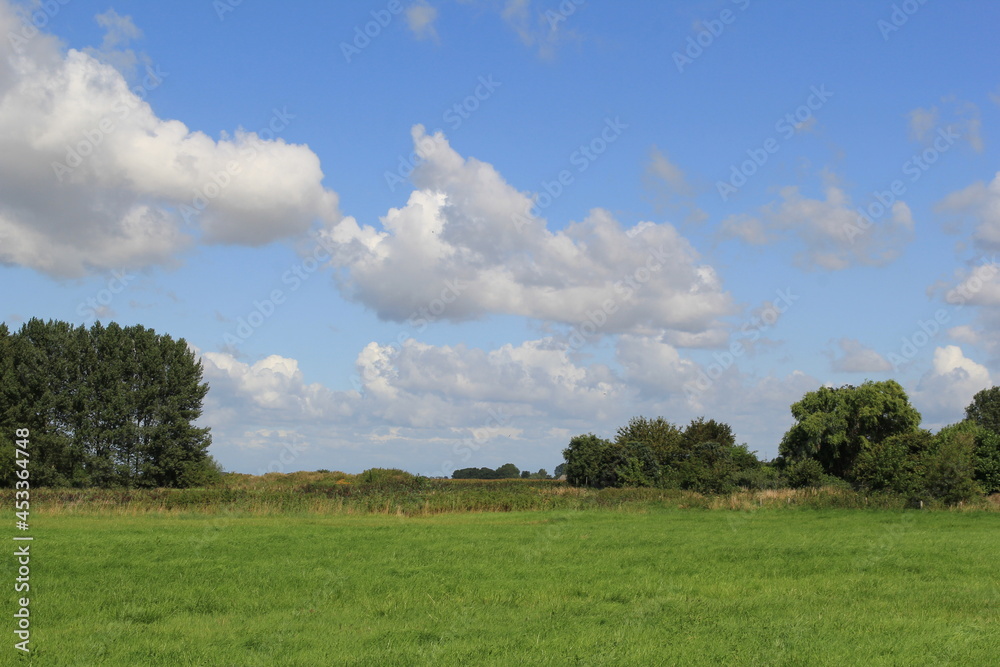 a typical dutch landscape with a green natural grassland with trees and a blue sky with white clouds in springtime