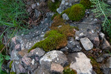 Moss on the stones. Stones on the street, green grass. Background from stones.
